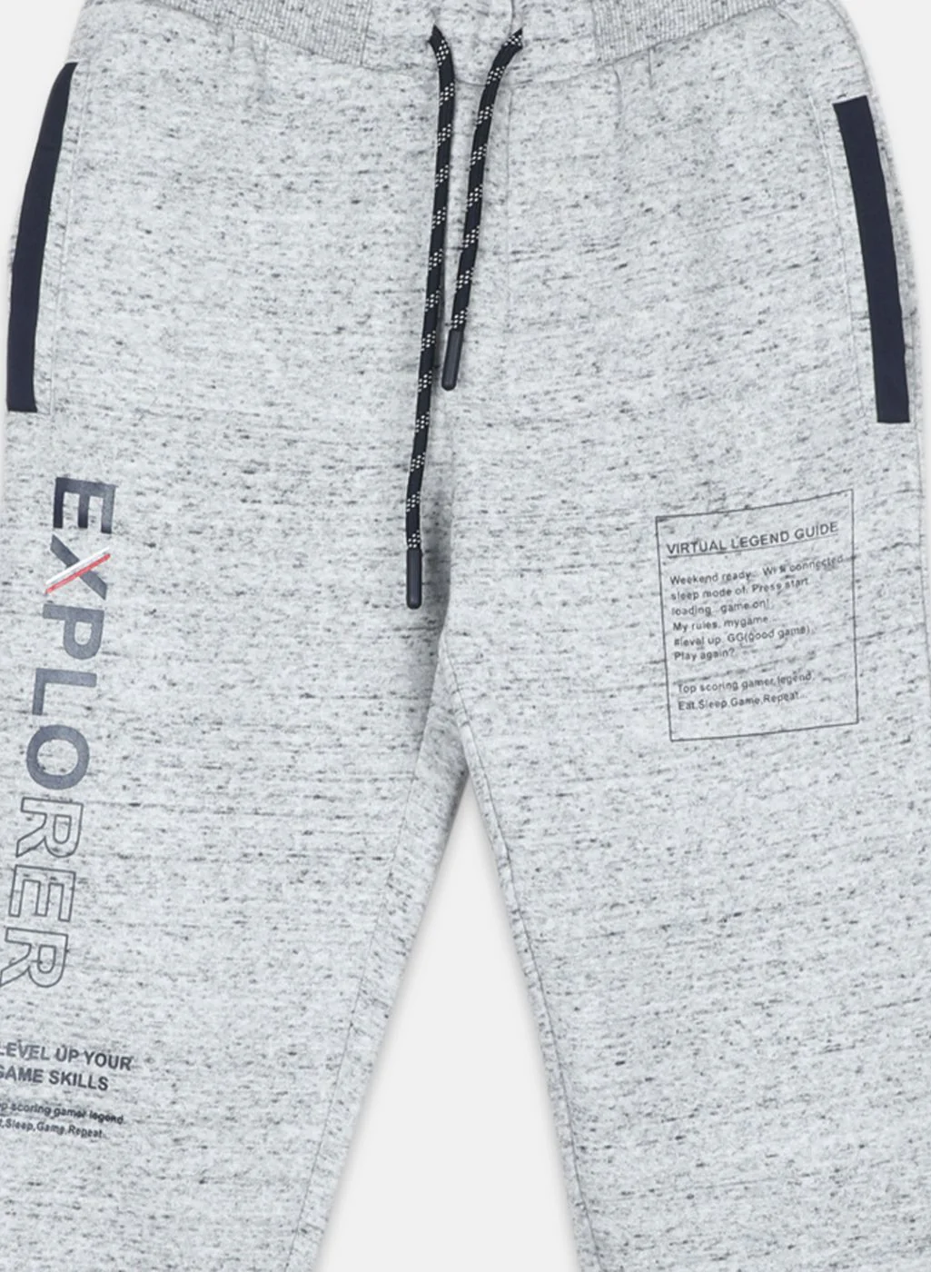 Boys Grey Regular Fit Lower - Image 3