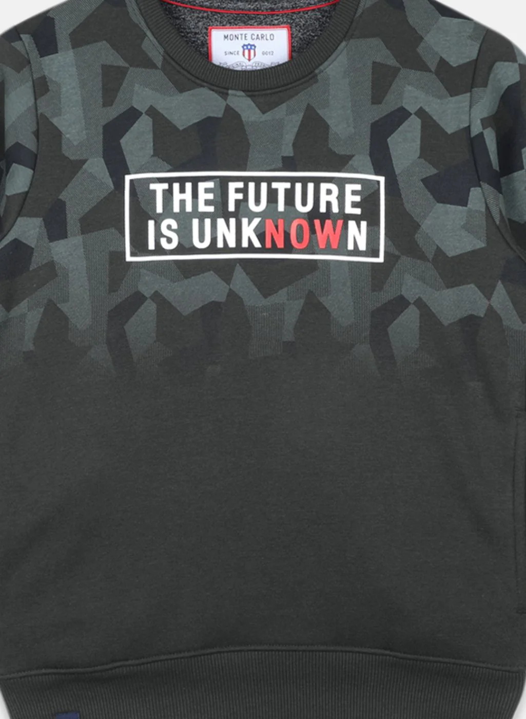 Boys Olive Printed Sweatshirt - Image 3